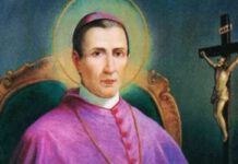 Santo del 7 giugno: Sant'Antonio Maria Gianelli