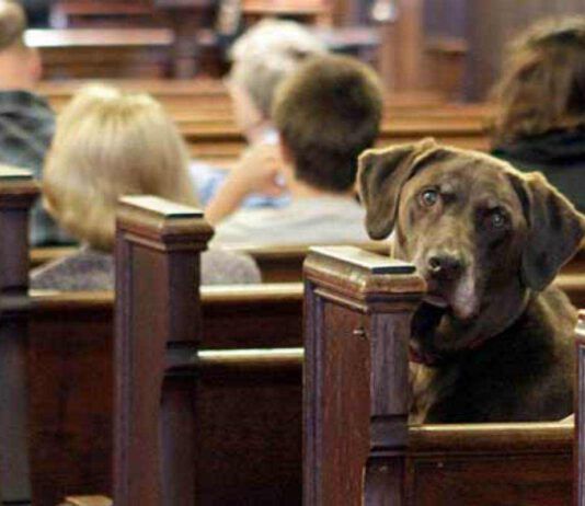 Il cane a messa?