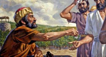 Vangelo di oggi 21 Agosto 2024: Mt 20,1-16 | Video commento