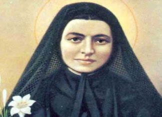 Santo del 20 ottobre: Santa Maria Bertilla Boscardin