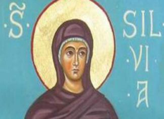 Santo del 3 novembre: Santa Silvia