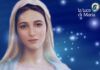Novena Immacolata Concezione