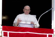 Papa Francesco all'Angelus