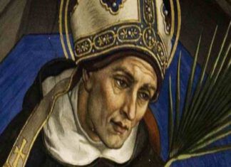 Santo del 15 novembre: Sant'Alberto Magno