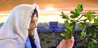 Vangelo di oggi