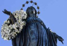 Oggi 8 dicembre: Solennità dell' Immacolata Concezione