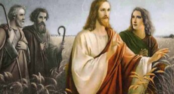 Vangelo di oggi 3 Ottobre 2024: Lc 10,1-12 | Commento di Papa Francesco