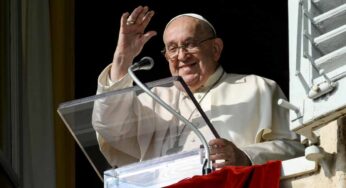Angelus 17 novembre 2024, Papa Francesco: «L’abuso è un tradimento alla vita»