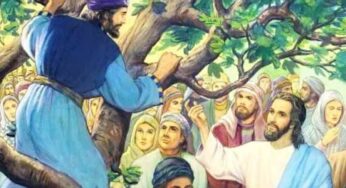 Vangelo di oggi 19 Novembre 2024: Lc 19,1-10 | Commento di Papa Francesco