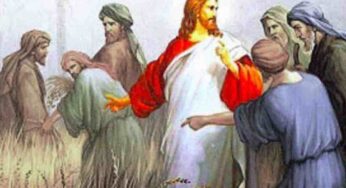 Vangelo di oggi 21 gennaio 2025: Mc 2,23-28 | Commento di Papa Francesco