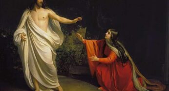 Vangelo di oggi 26 aprile 2025: Mc 16,9-15  | Commento di Papa Francesco