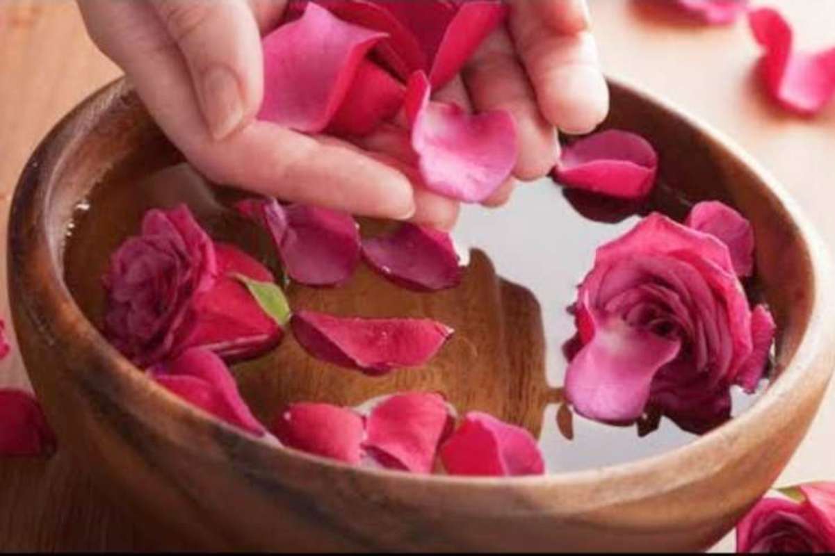 acqua di rose