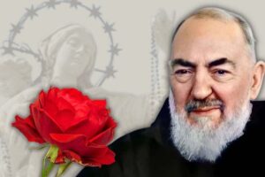 padre pio e la rosa alla madonna di pompei