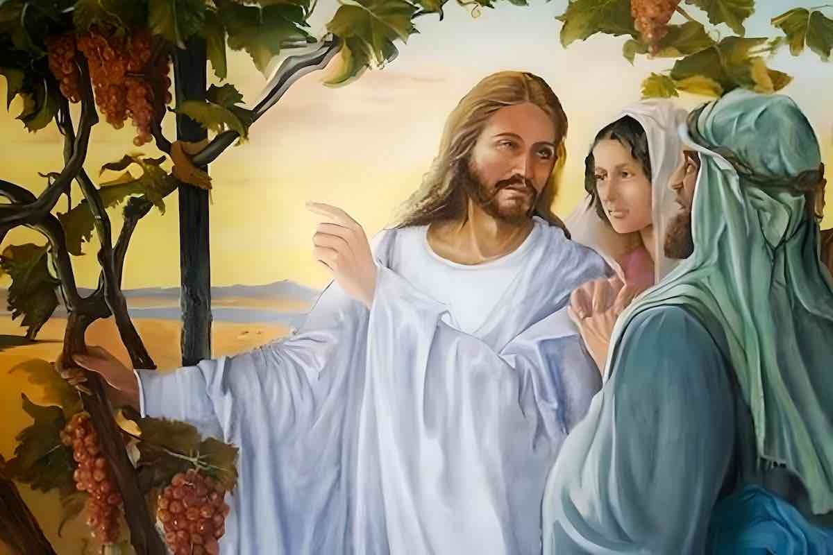 Commento al Vangelo di oggi 25 giugno 2025: Mt 7,15 20 Commento al Vangelo di oggi 25 giugno 2025: Mt 7,15 20