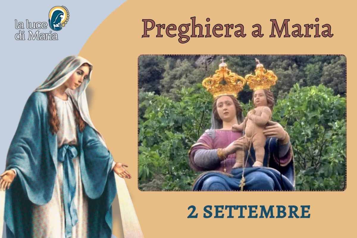2 settembre, Madonna della Montagna: animale si inginocchia davanti alla Croce 2 settembre, Madonna della Montagna: animale si inginocchia davanti alla Croce
