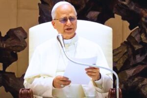 Udienza generale papa Leone