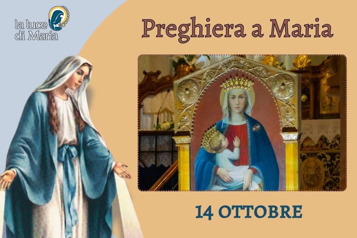 14 ottobre, Madonna della Fontana di Casalmaggiore: opera numerose guarigioni miracolose 14 ottobre, Madonna della Fontana di Casalmaggiore: opera numerose guarigioni miracolose