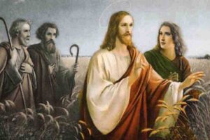 Vangelo 6 settembre 2025