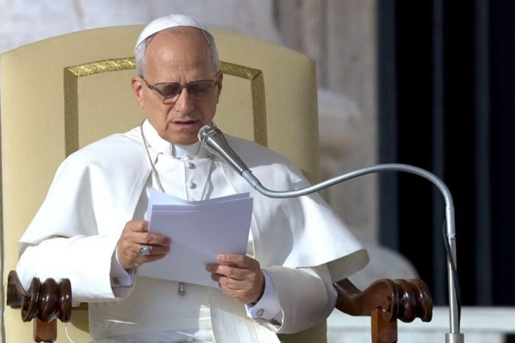 Papa Leone XIV Udienza generale 31 dicembre 2025