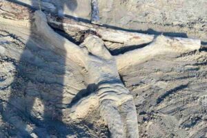 cristo scultura spiaggia