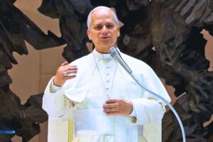 papa leone udienza generale