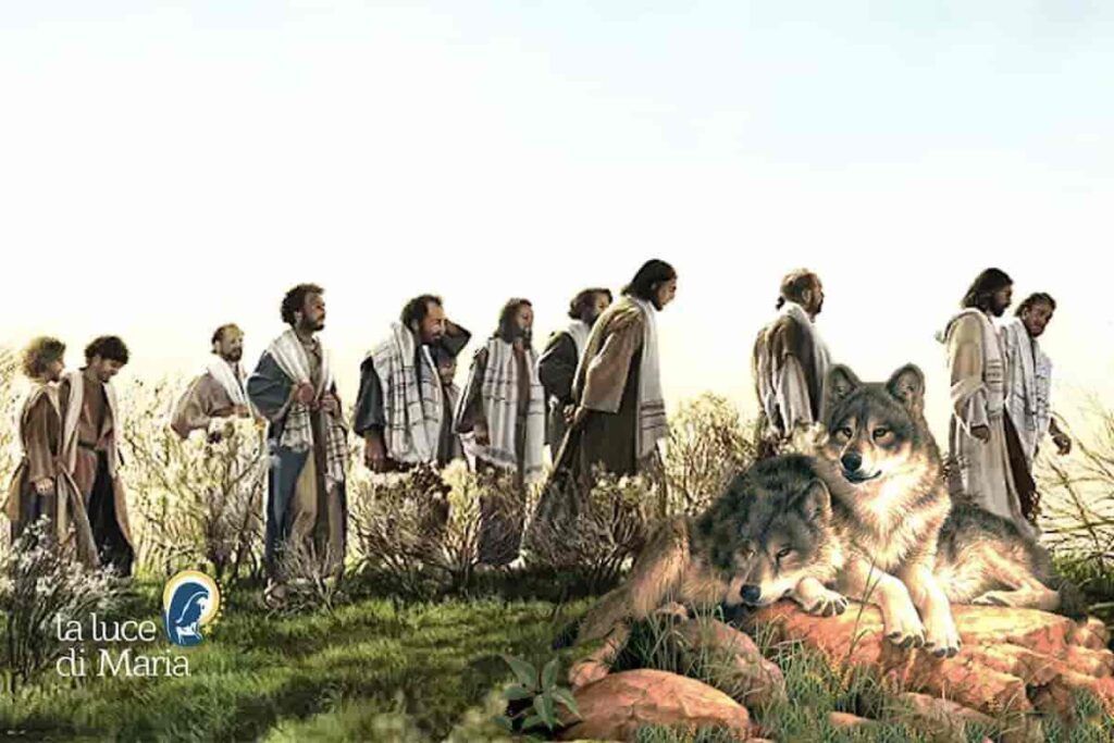 vangelo 14 febbraio 2026