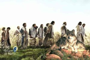 vangelo 14 febbraio 2026