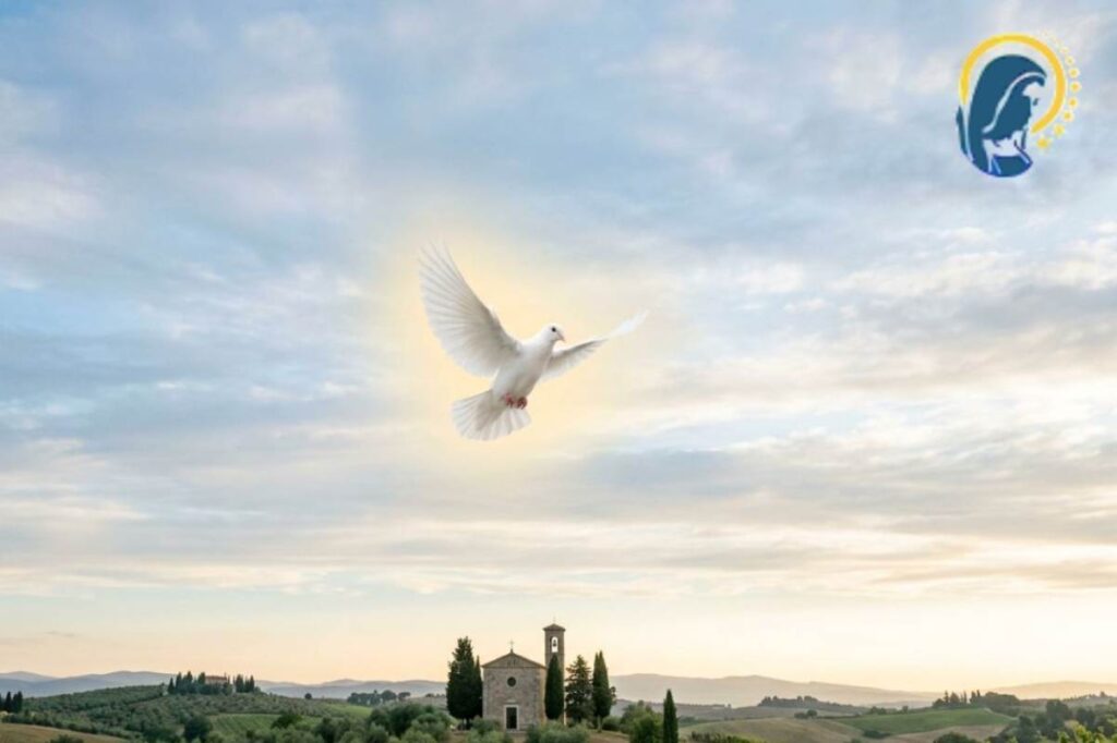 colomba dello spirito santo