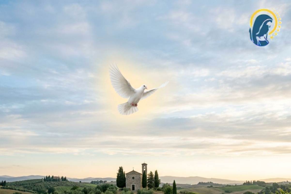 colomba dello spirito santo