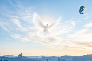 colomba spirito santo in cielo