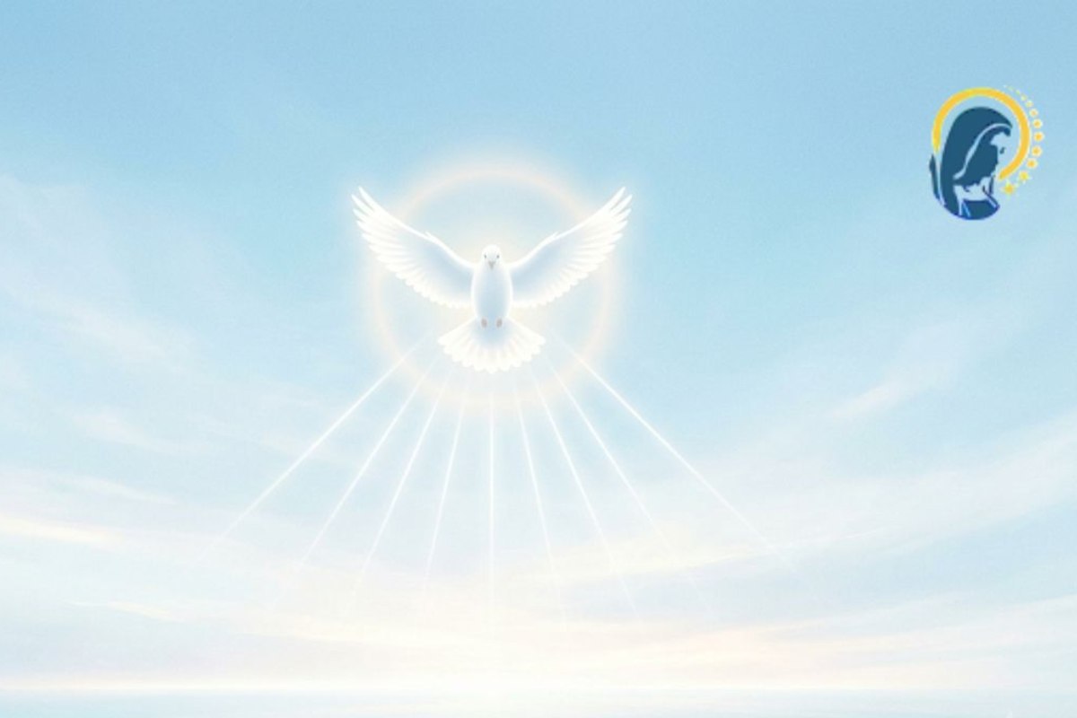 colomba spirito santo in cielo