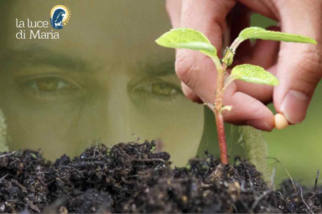 mano che coglie il frutto, e dietro lo sfondo col volto di gesù
