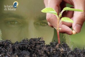 mano che coglie il frutto, e dietro lo sfondo col volto di gesù