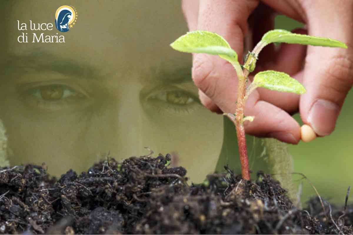 mano che coglie il frutto, e dietro lo sfondo col volto di gesù