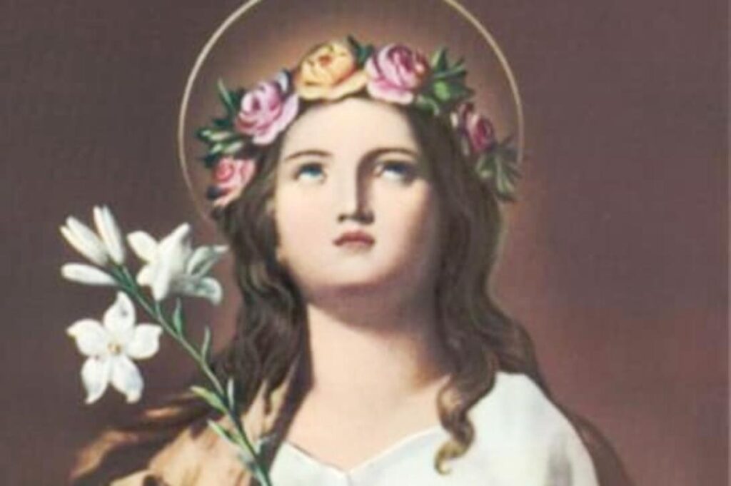 santa rosalia