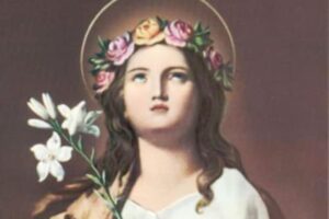 santa rosalia